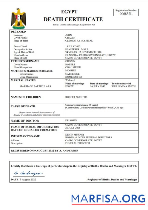 Blank Egypt vital record death certificate Word and PDF template